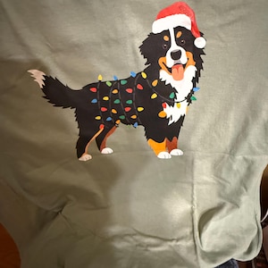 Order matched the description but the fabric may be a little thin. Color is good.